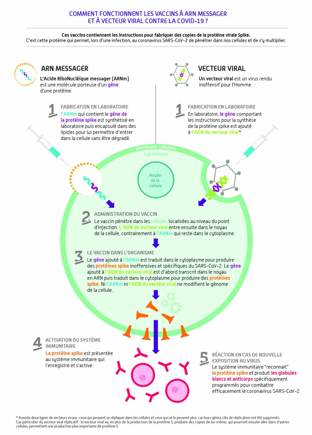 Comment fonctionne un vaccin ?