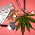 269_Cannabis_medical_Programme_travail_CE_Feuille_Stethoscope