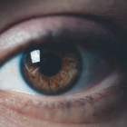 20251023_Vitamine-A_Oeil