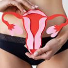 20260430_trompes fallope_magnific.com_24482692