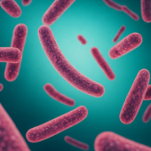 20251118_Antibioresistance_Image20251118112100