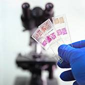 20260126_vigilance_essais_cliniques_Istock_682213390-Konstantin_Popov