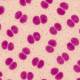 Vaccins contre les méningocoques B et ACWY