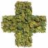 Nos réponses à vos questions sur l’expérimentation du cannabis médical